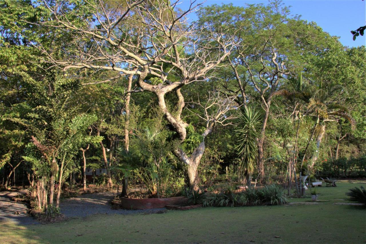 Casa Unica Com Piscina E Lareira A 1,2 Km Do Centro Villa Chapada dos Guimaraes Ngoại thất bức ảnh