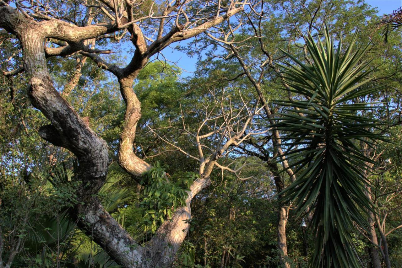 Casa Unica Com Piscina E Lareira A 1,2 Km Do Centro Villa Chapada dos Guimaraes Ngoại thất bức ảnh