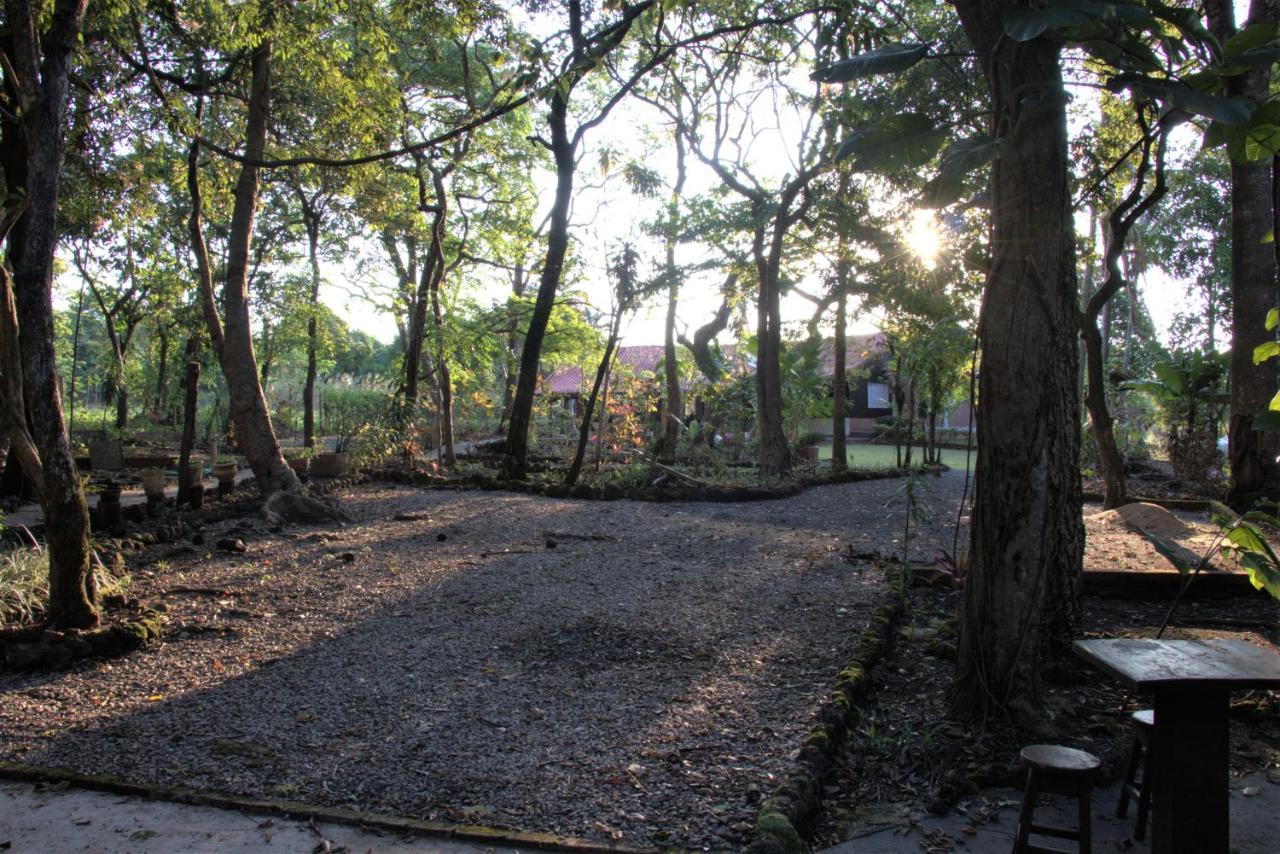 Casa Unica Com Piscina E Lareira A 1,2 Km Do Centro Villa Chapada dos Guimaraes Ngoại thất bức ảnh